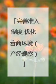完善准入制度 优化营商环境（产经观察）