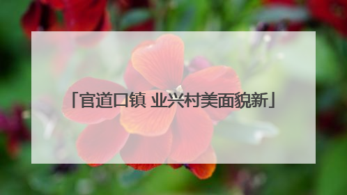 官道口镇 业兴村美面貌新