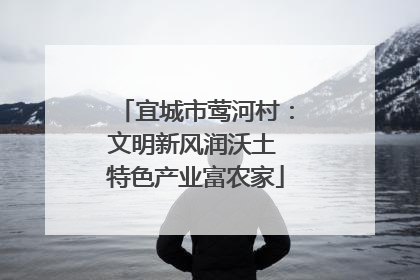 宜城市莺河村：文明新风润沃土 特色产业富农家