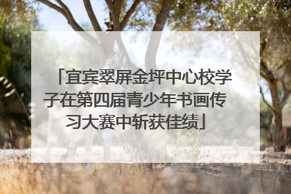 宜宾翠屏金坪中心校学子在第四届青少年书画传习大赛中斩获佳绩