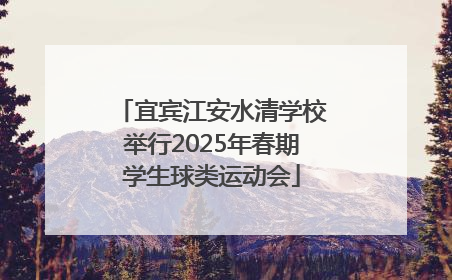 宜宾江安水清学校举行2025年春期学生球类运动会
