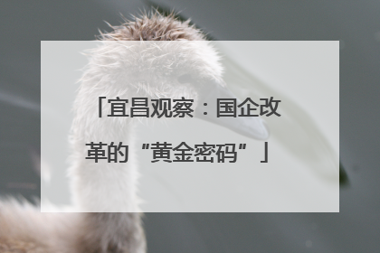 宜昌观察：国企改革的“黄金密码”