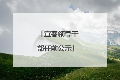 宜春领导干部任前公示