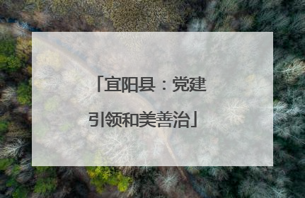 宜阳县：党建引领和美善治