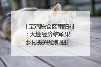 宝鸡陈仓区南阳村：大棚经济结硕果 乡村振兴绘新图