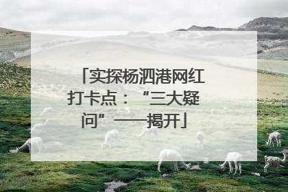 实探杨泗港网红打卡点：“三大疑问”一一揭开