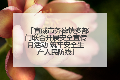 宣威市务德镇多部门联合开展安全宣传月活动 筑牢安全生产人民防线