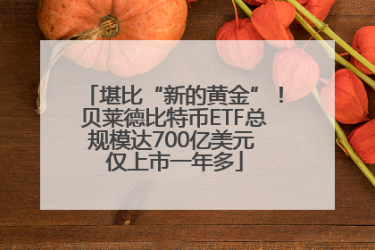 堪比“新的黄金”！贝莱德比特币ETF总规模达700亿美元 仅上市一年多