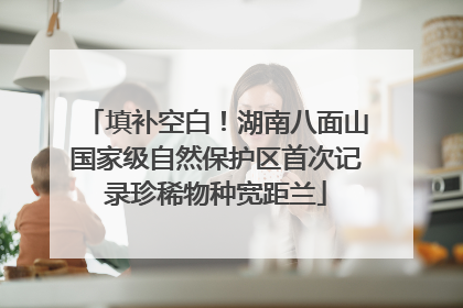 填补空白！湖南八面山国家级自然保护区首次记录珍稀物种宽距兰