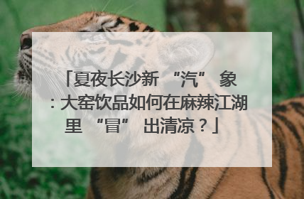 夏夜长沙新 “汽” 象：大窑饮品如何在麻辣江湖里 “冒” 出清凉？