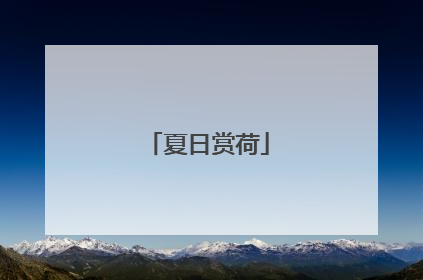 夏日赏荷
