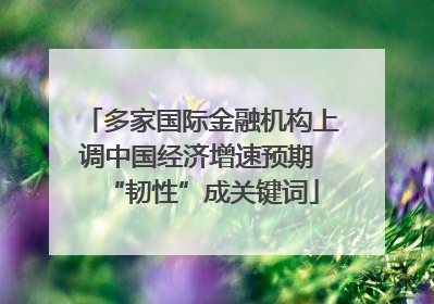 多家国际金融机构上调中国经济增速预期 “韧性”成关键词