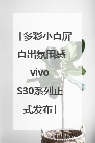多彩小直屏 直出氛围感 vivo S30系列正式发布