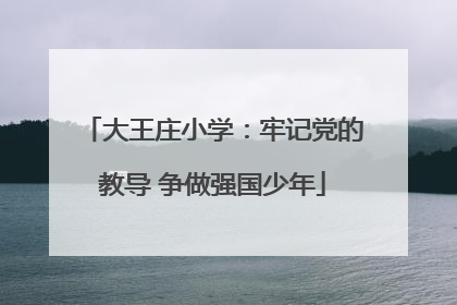 大王庄小学：牢记党的教导 争做强国少年