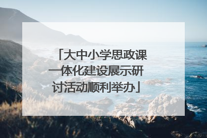 大中小学思政课一体化建设展示研讨活动顺利举办