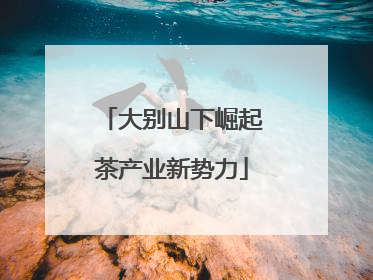 大别山下崛起茶产业新势力