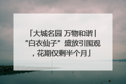 大城名园 万物和谐│“白衣仙子”盛放引围观，花期仅剩半个月