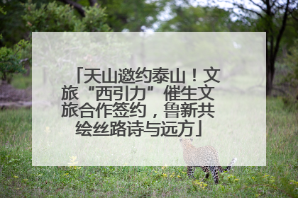 天山邀约泰山！文旅“西引力”催生文旅合作签约，鲁新共绘丝路诗与远方