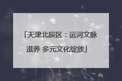 天津北辰区：运河文脉滋养 多元文化绽放
