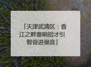 天津武清区：香江之畔奏响招才引智奋进强音