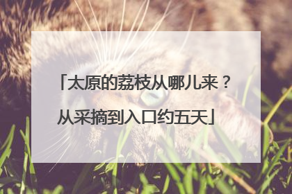 太原的荔枝从哪儿来？从采摘到入口约五天