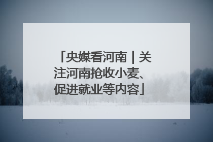 央媒看河南｜关注河南抢收小麦、促进就业等内容