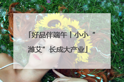 好品伴端午丨小小“潍艾”长成大产业