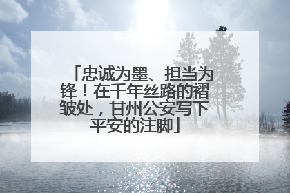 忠诚为墨、担当为锋！在千年丝路的褶皱处，甘州公安写下平安的注脚