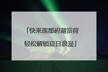 快来莲都碧湖赏荷 轻松解锁夏日浪漫