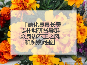 德化县县长吴志朴调研督导群众身边不正之风和腐败问题