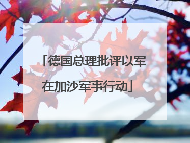 德国总理批评以军在加沙军事行动