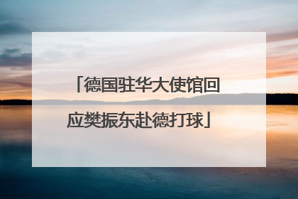 德国驻华大使馆回应樊振东赴德打球