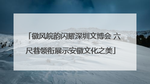 徽风皖韵闪耀深圳文博会 六尺巷领衔展示安徽文化之美