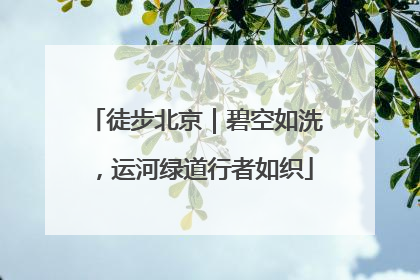 徒步北京｜碧空如洗，运河绿道行者如织