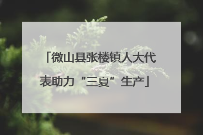 微山县张楼镇人大代表助力“三夏”生产