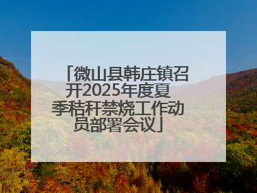 微山县韩庄镇召开2025年度夏季秸秆禁烧工作动员部署会议