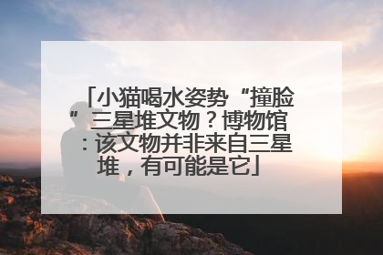 小猫喝水姿势“撞脸”三星堆文物？博物馆：该文物并非来自三星堆，有可能是它