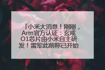 小米大消息！刚刚，Arm官方认证：玄戒O1芯片由小米自主研发！雷军此前称已开始大规模量产