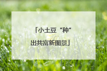 小土豆“种”出共富新图景