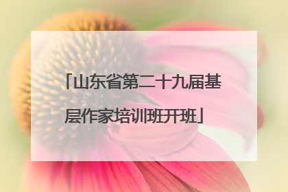 山东省第二十九届基层作家培训班开班