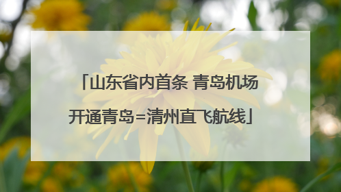 山东省内首条 青岛机场开通青岛=清州直飞航线