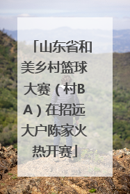 山东省和美乡村篮球大赛（村BA）在招远大户陈家火热开赛