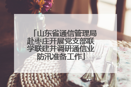 山东省通信管理局赴枣庄开展党支部联学联建并调研通信业防汛准备工作