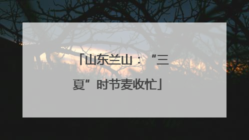 山东兰山：“三夏”时节麦收忙