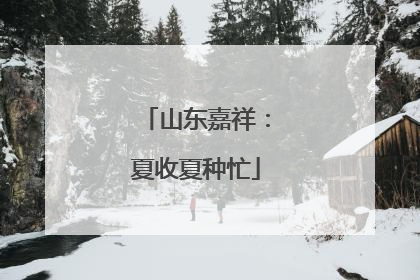 山东嘉祥：夏收夏种忙