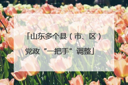 山东多个县（市、区）党政“一把手”调整