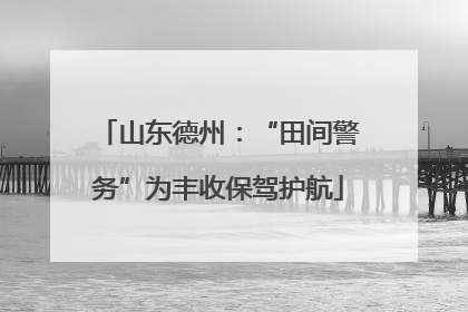 山东德州：“田间警务”为丰收保驾护航