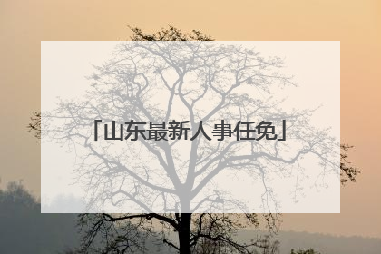 山东最新人事任免