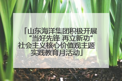 山东海洋集团积极开展“当好先锋 再立新功”社会主义核心价值观主题实践教育月活动