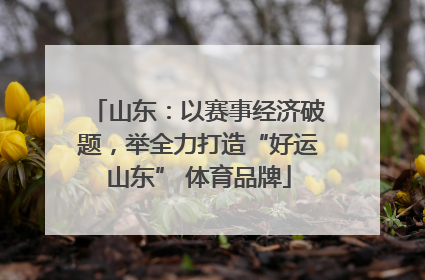 山东：以赛事经济破题，举全力打造“好运山东” 体育品牌
